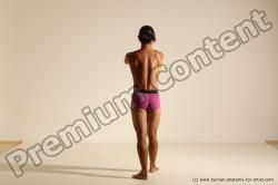 Elmer - Traditional Korean Art